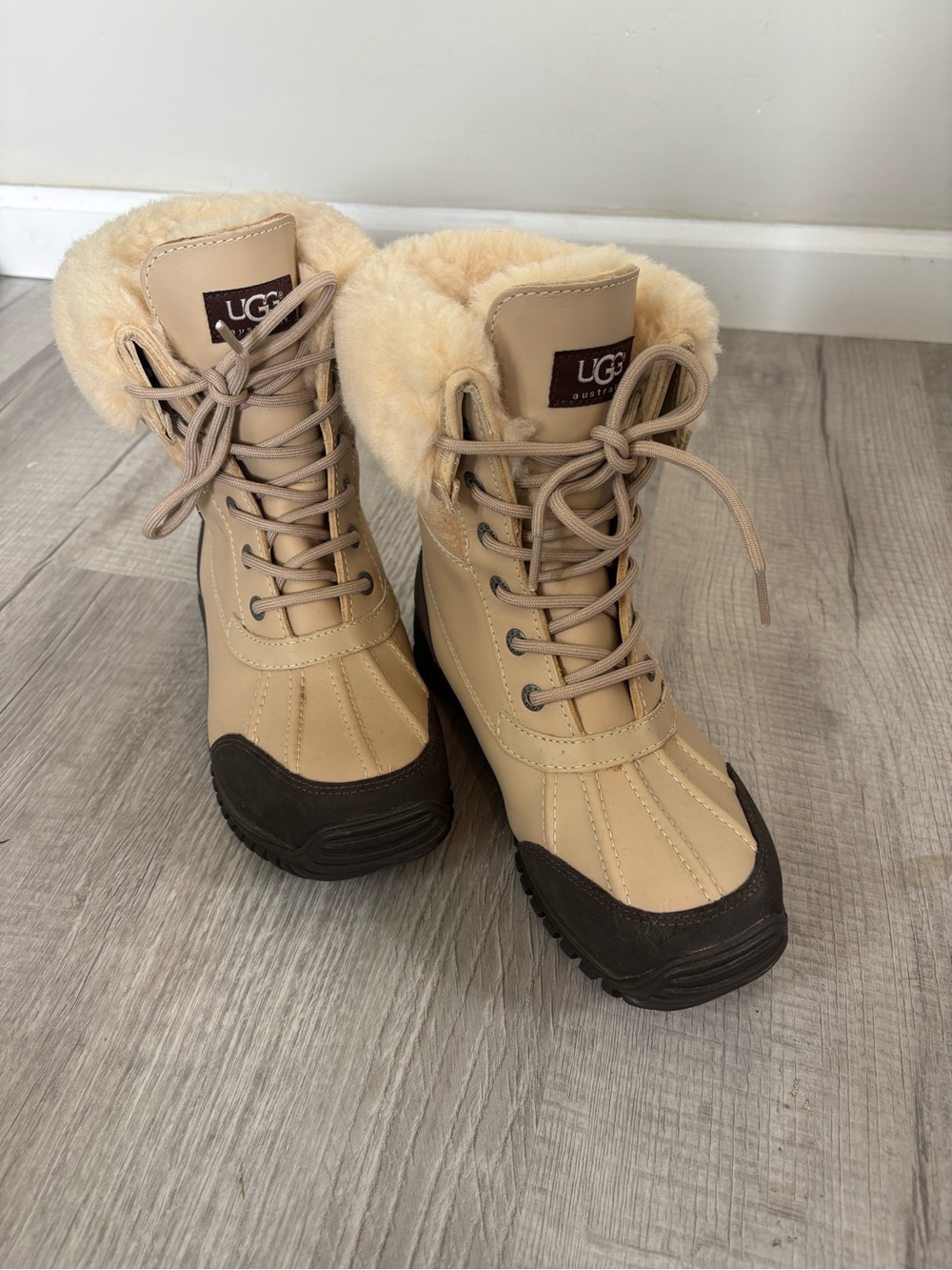UGG Women’s Adirondack Boot